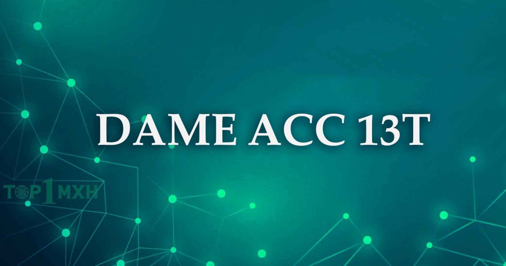 ảnh đại diện dame acc 13t