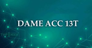 ảnh đại diện dame acc 13t