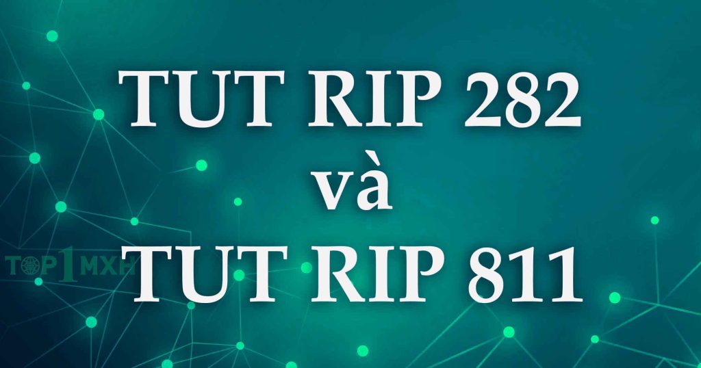 ảnh đại diện tut rip 282 và tut rip 811