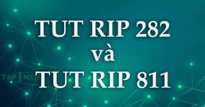 ảnh đại diện tut rip 282 và tut rip 811